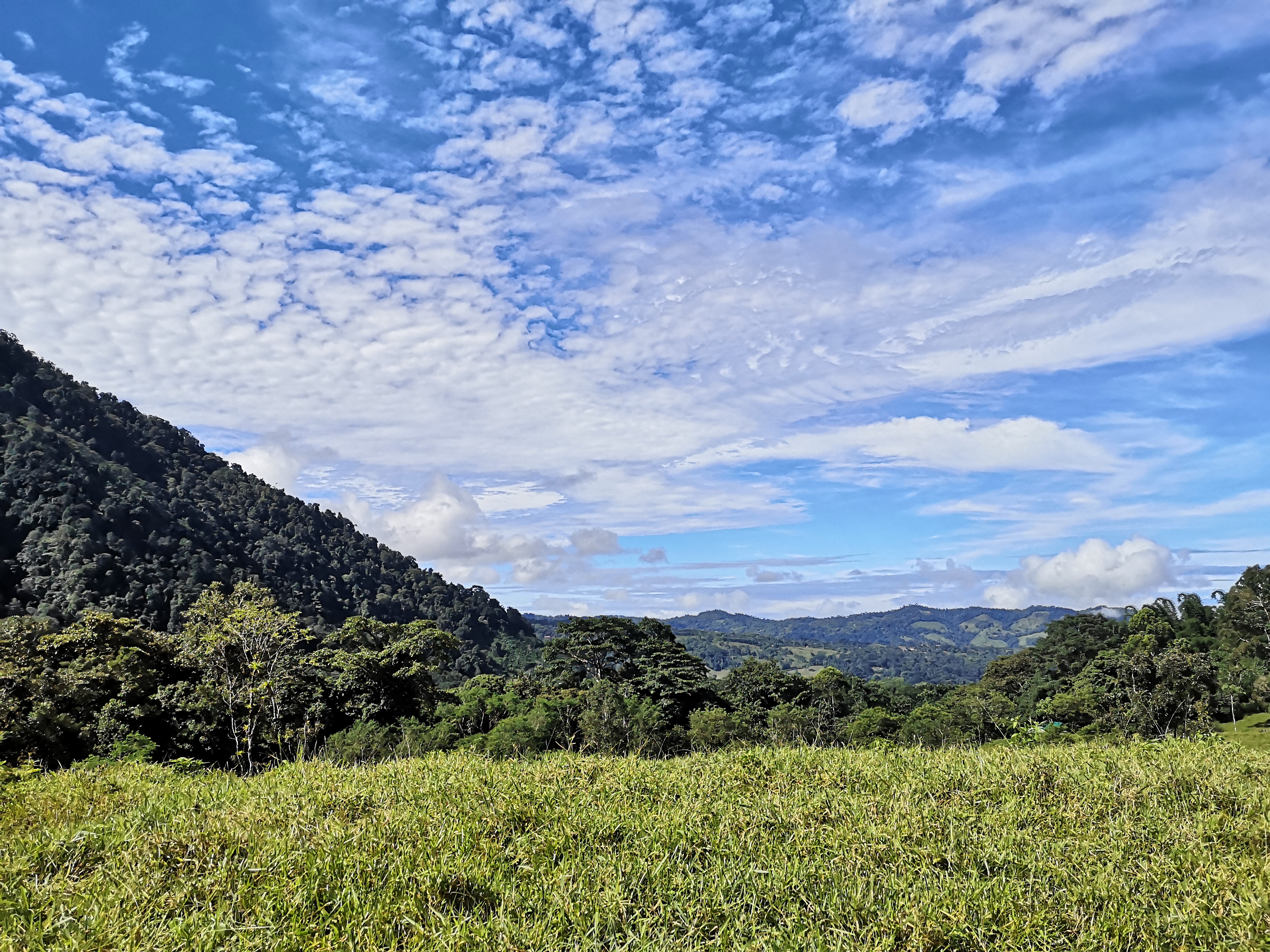 53 acres farm in pasture with 3 creeks in Las Tumbas, Baru Baru, las