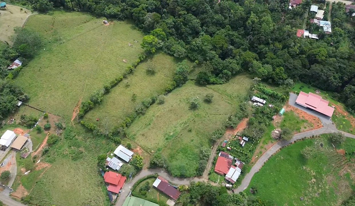 48a56a44-3d4f-488b-9ea5-3099c5e885fc