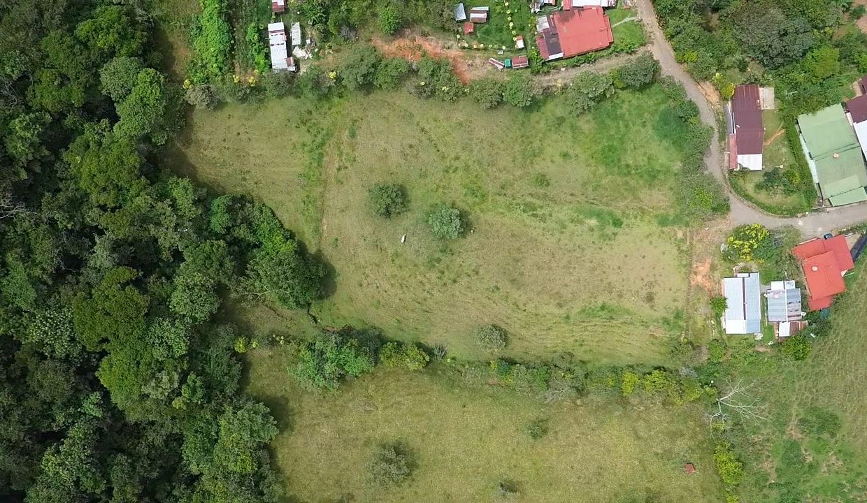 9a787ea8-7caf-47ae-9a0f-3d753e23e50a