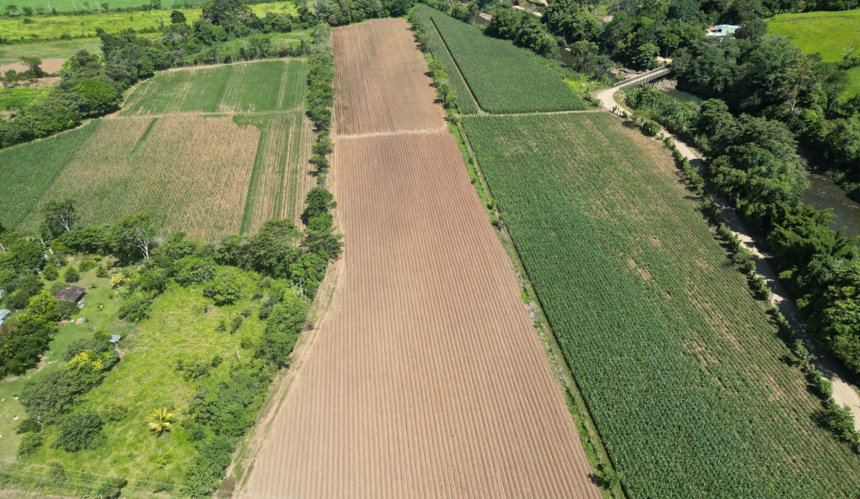 dji_fly_20230809_134746_57_1691618214053_photo-min