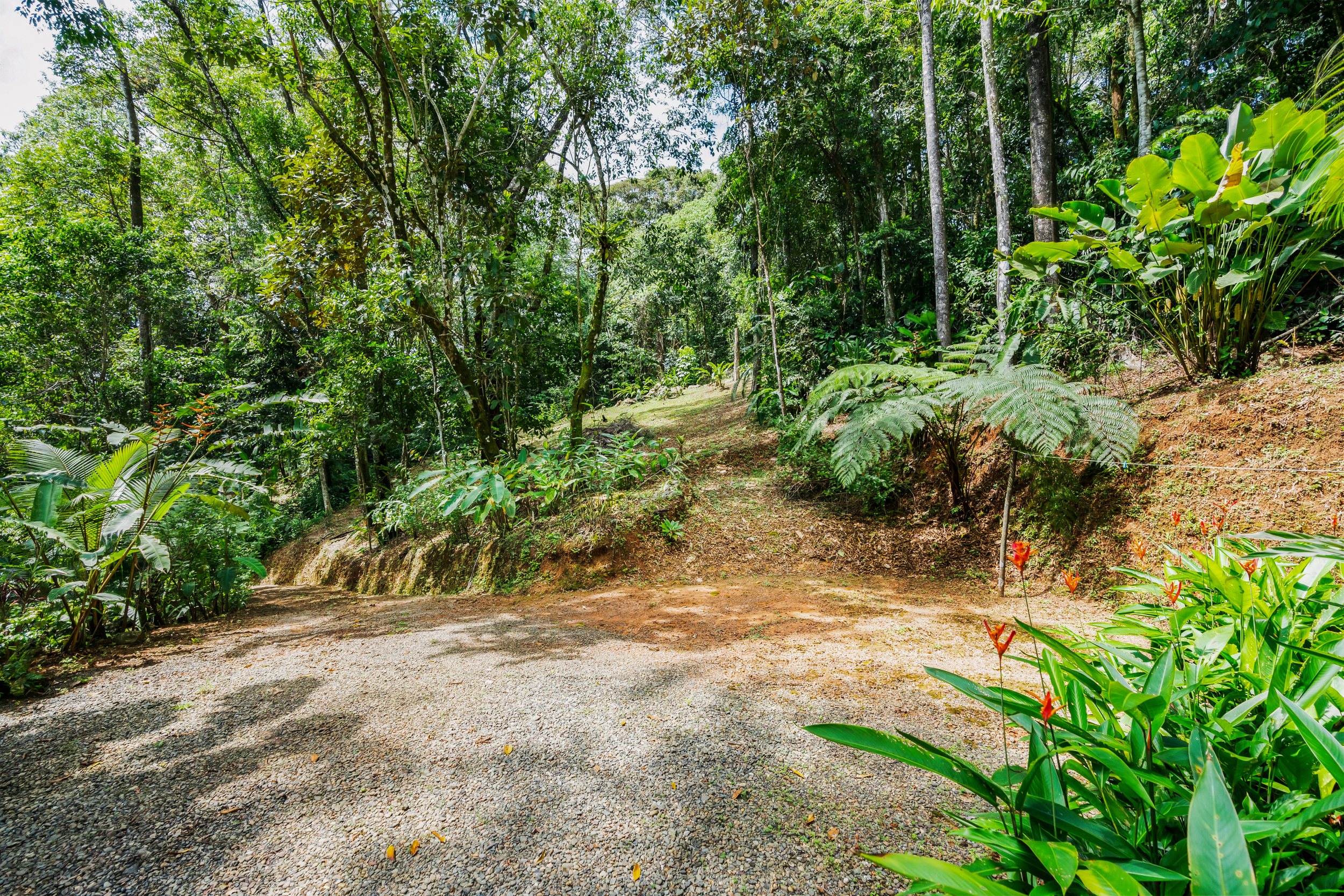 Best real estate photographer & videography in the Southern Zone of Costa Rica©John Deven