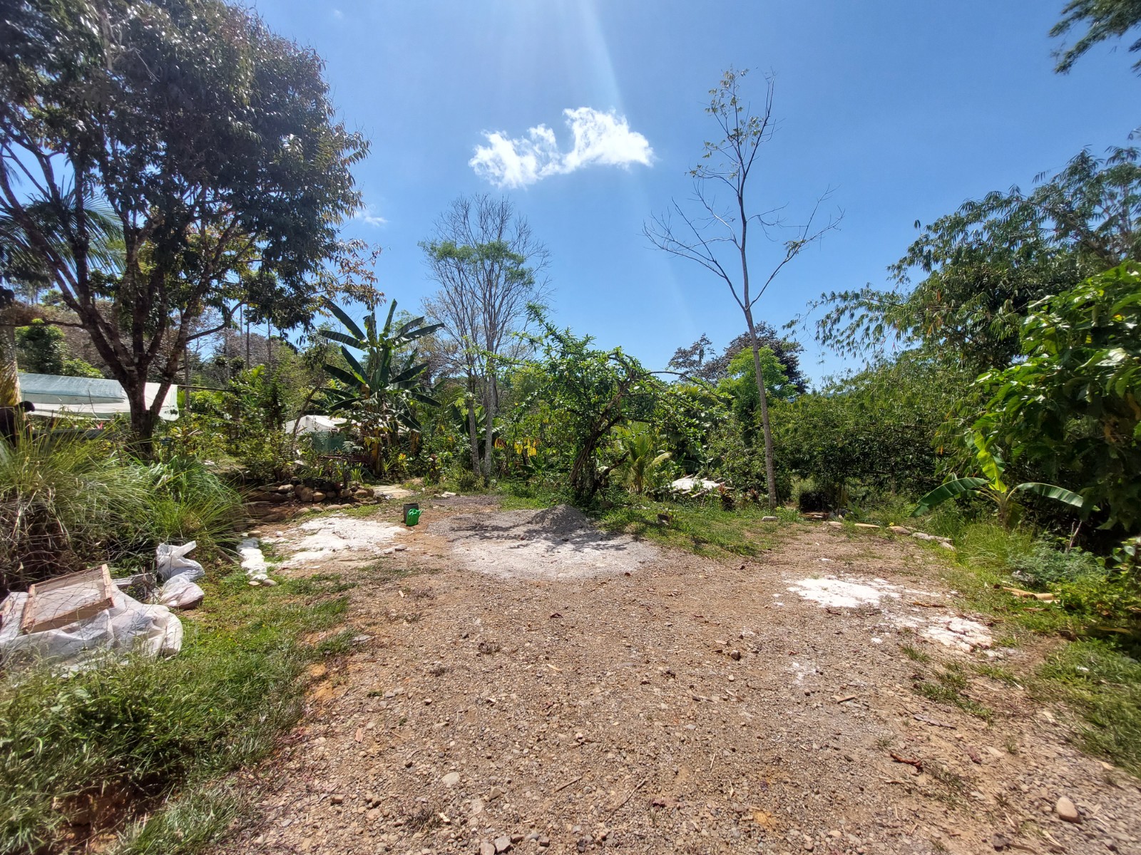 2.5 acres with container/wooden home and several building spots in Las