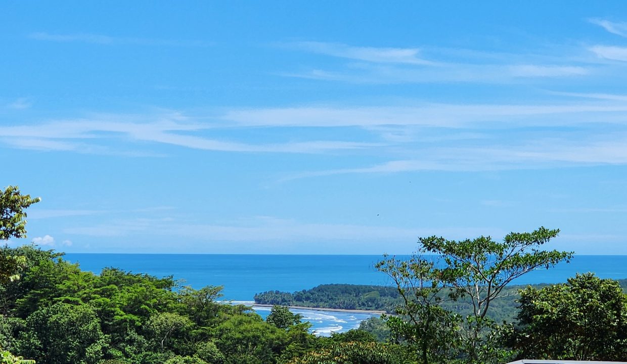 Dulce Pacifico 28 - 01