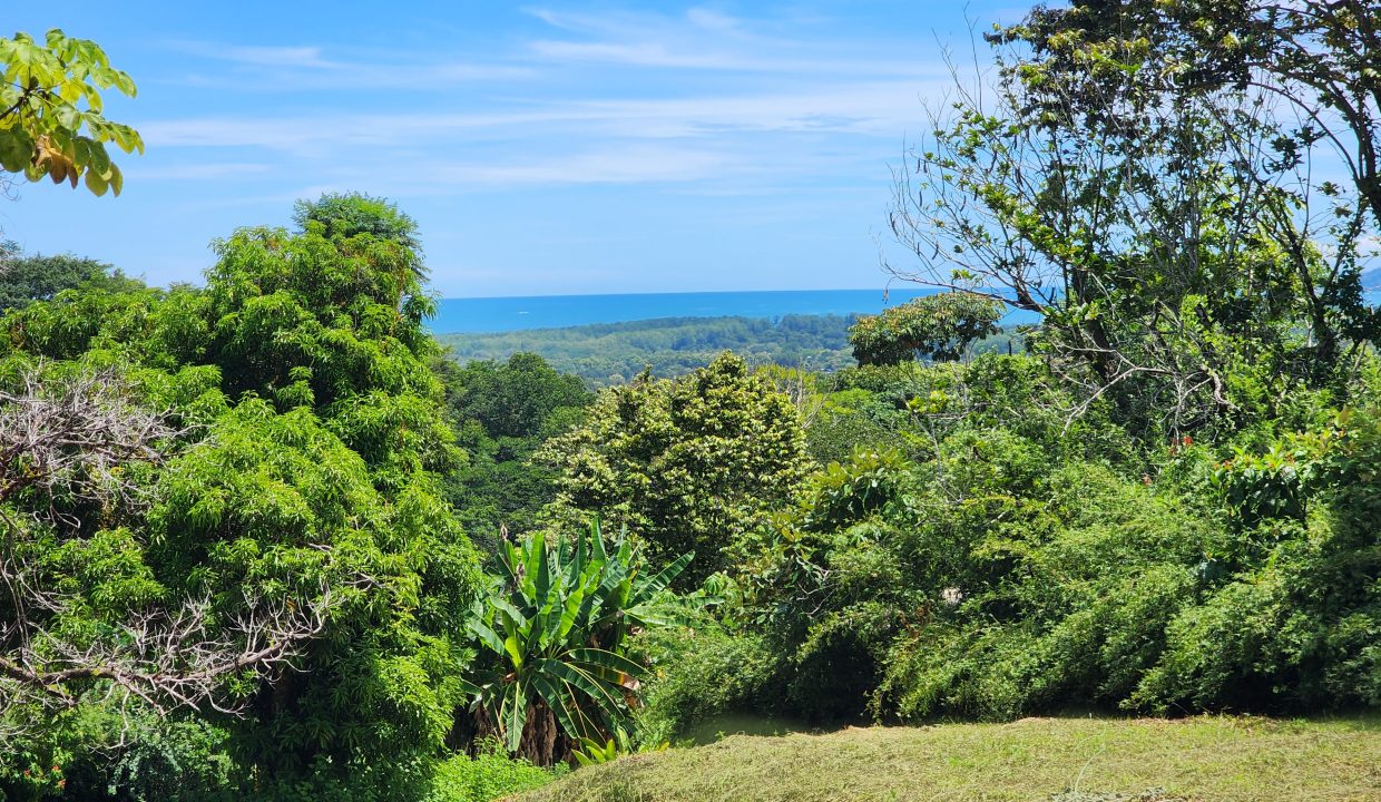 Dulce Pacifico 28 - 06