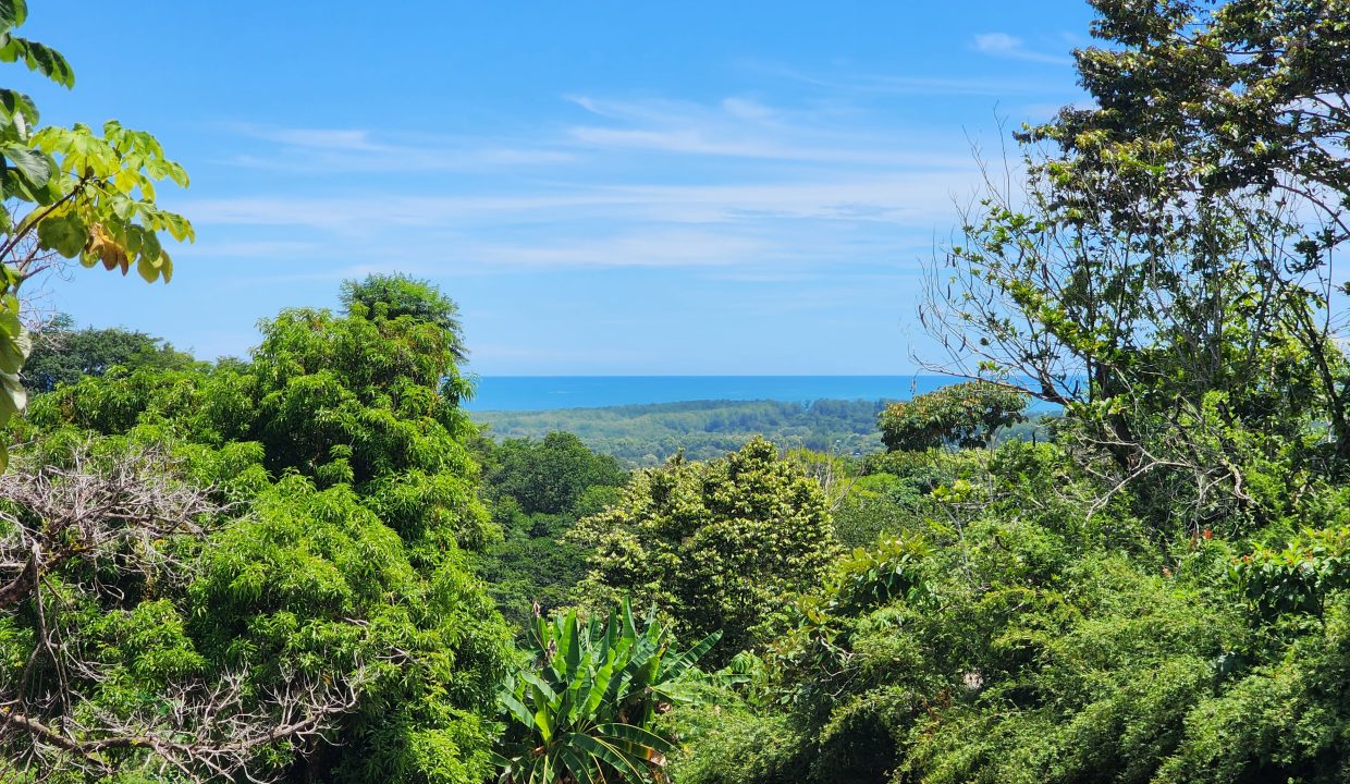 Dulce Pacifico 28 - 07