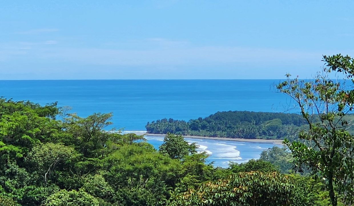 Dulce Pacifico 28 - 09