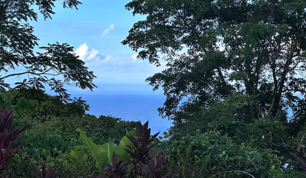 Photo 5-9-23, 06 43 08