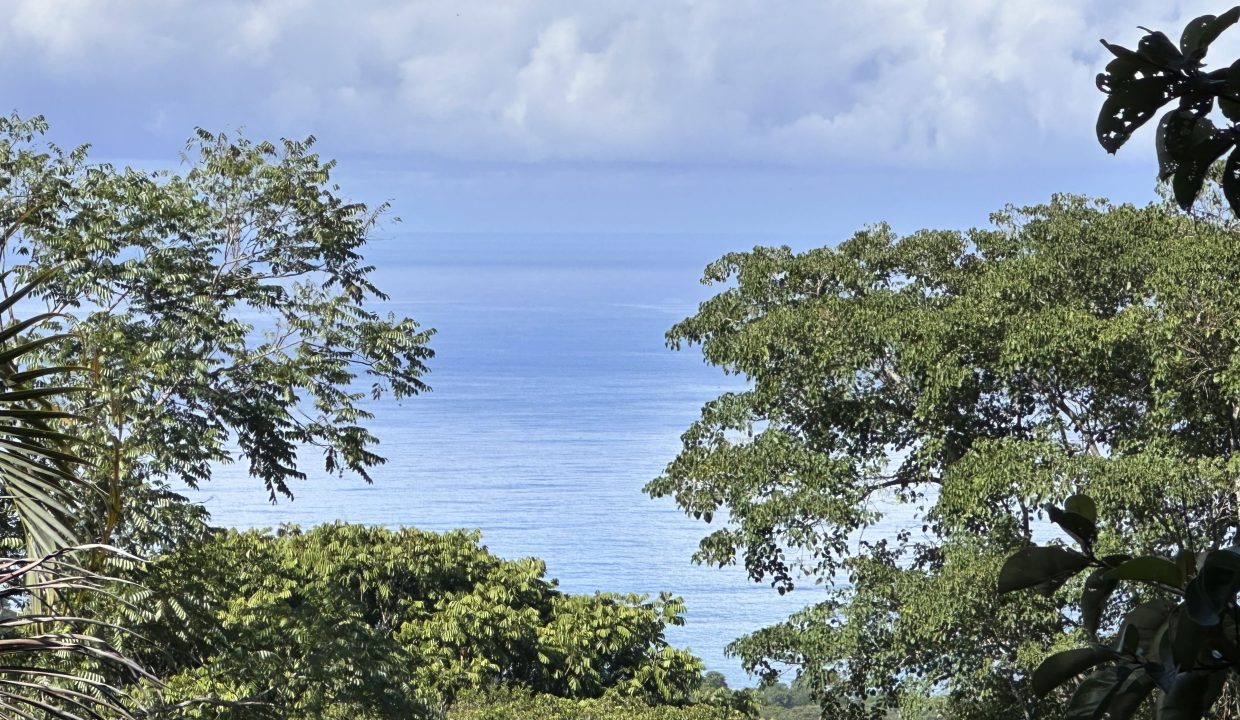 Photo 5-9-23, 08 22 00