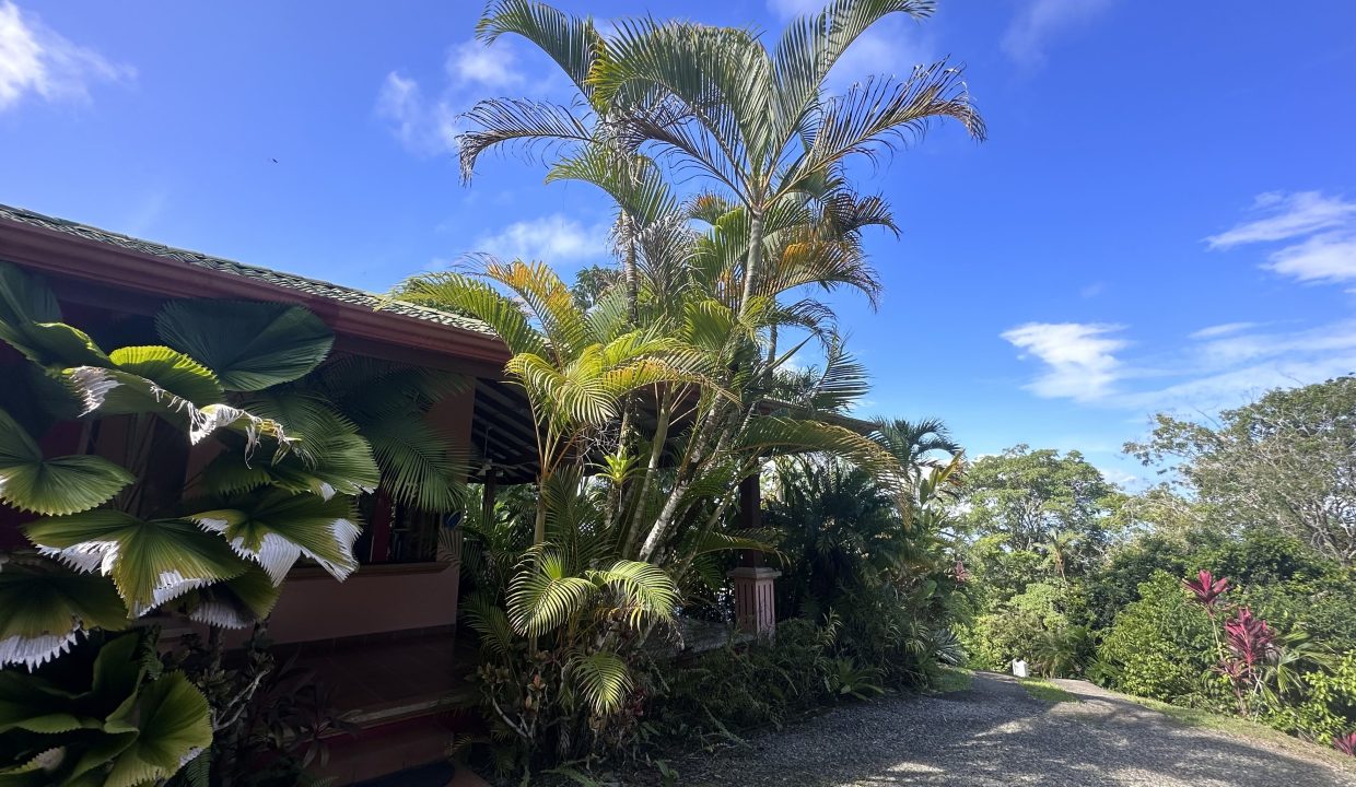 Photo 5-9-23, 08 30 10