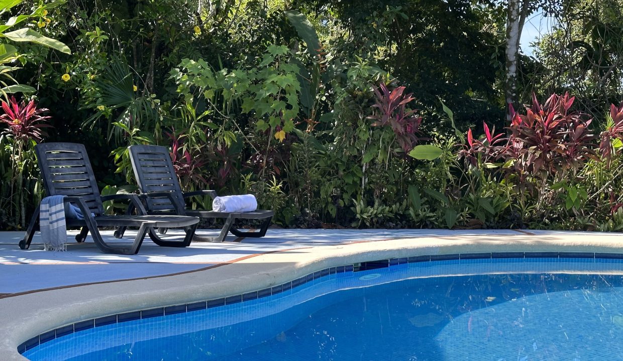 Photo 5-9-23, 08 31 04