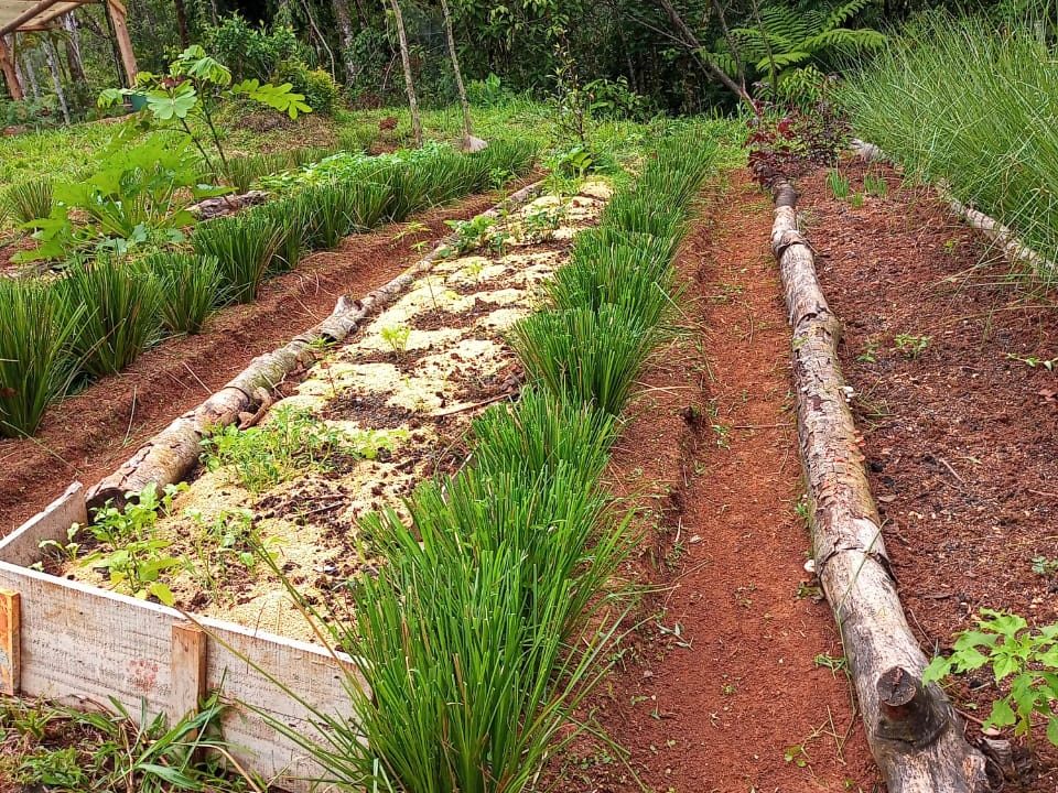 84fd272d-b1e8-4963-a266-e5d8d6ad4fbd (1)