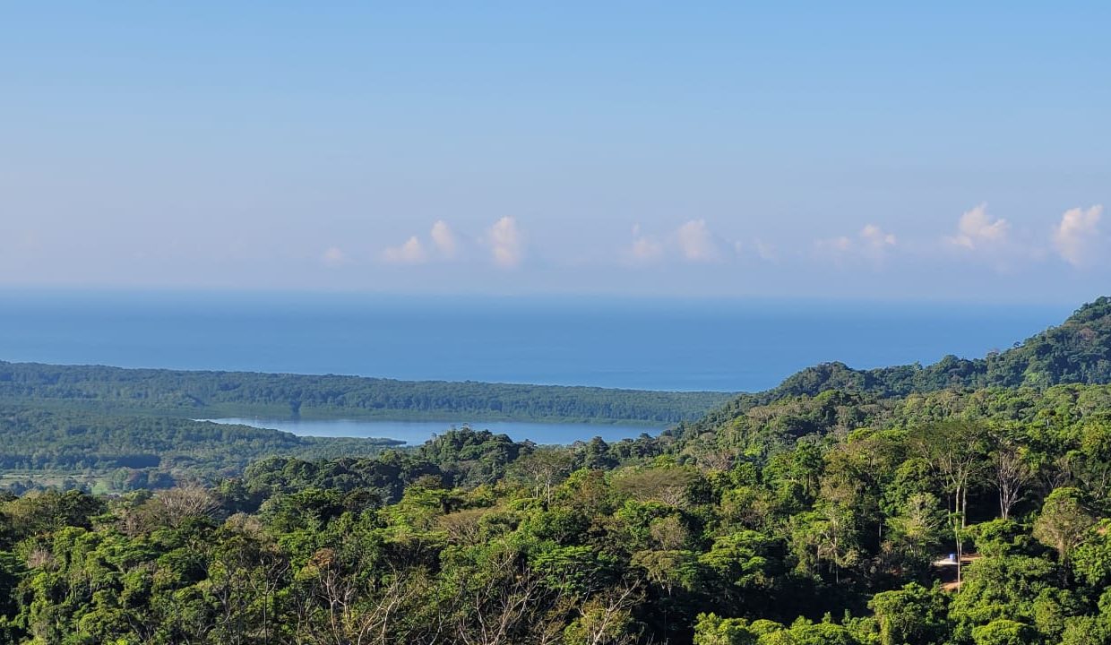 WhatsApp Image 2024-01-18 at 10.10.15 AM