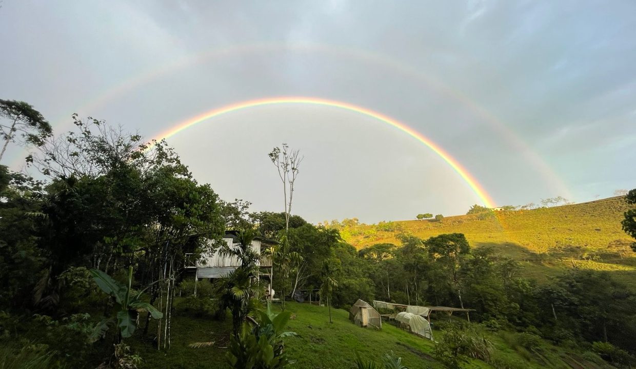 cf7f32a9-1228-405e-a194-7b80ac69492a (1)