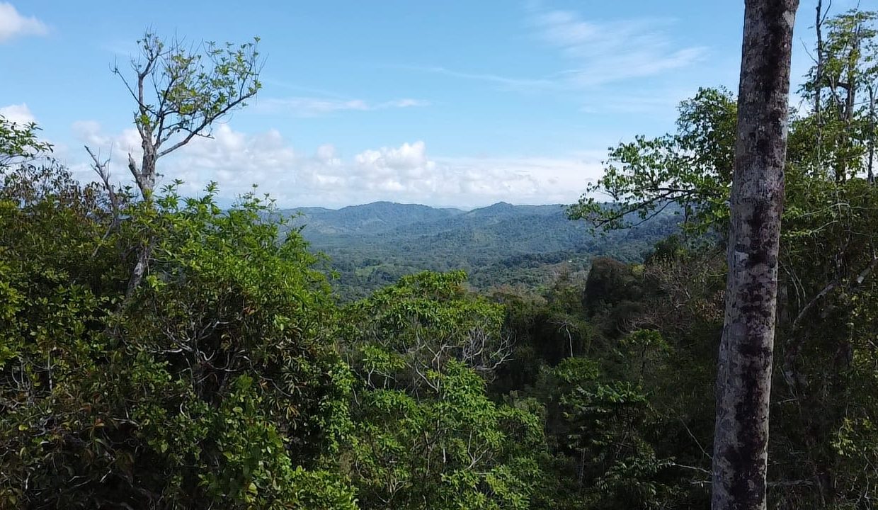 dji_fly_20231207_104627_0_1701967587420_photo_low_quality-min