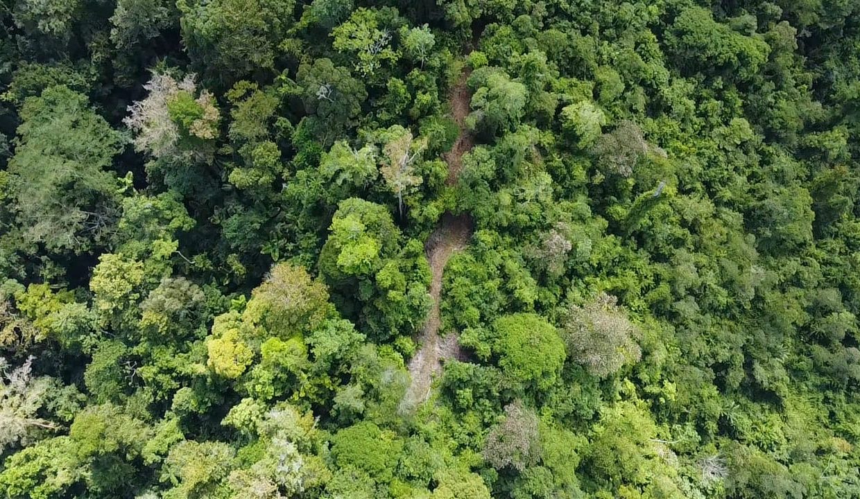 dji_fly_20231207_105311_0_1701967991626_photo_low_quality-min