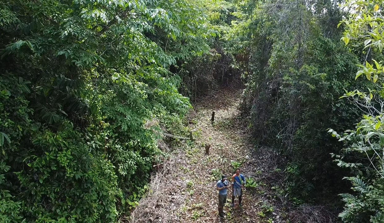 dji_fly_20231207_105411_0_1701968051456_photo_low_quality-min