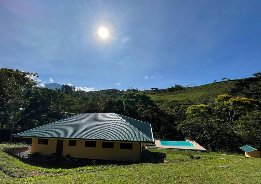 f36c8f87-5ab0-4bef-86c4-8e24ce5b3299 (1)