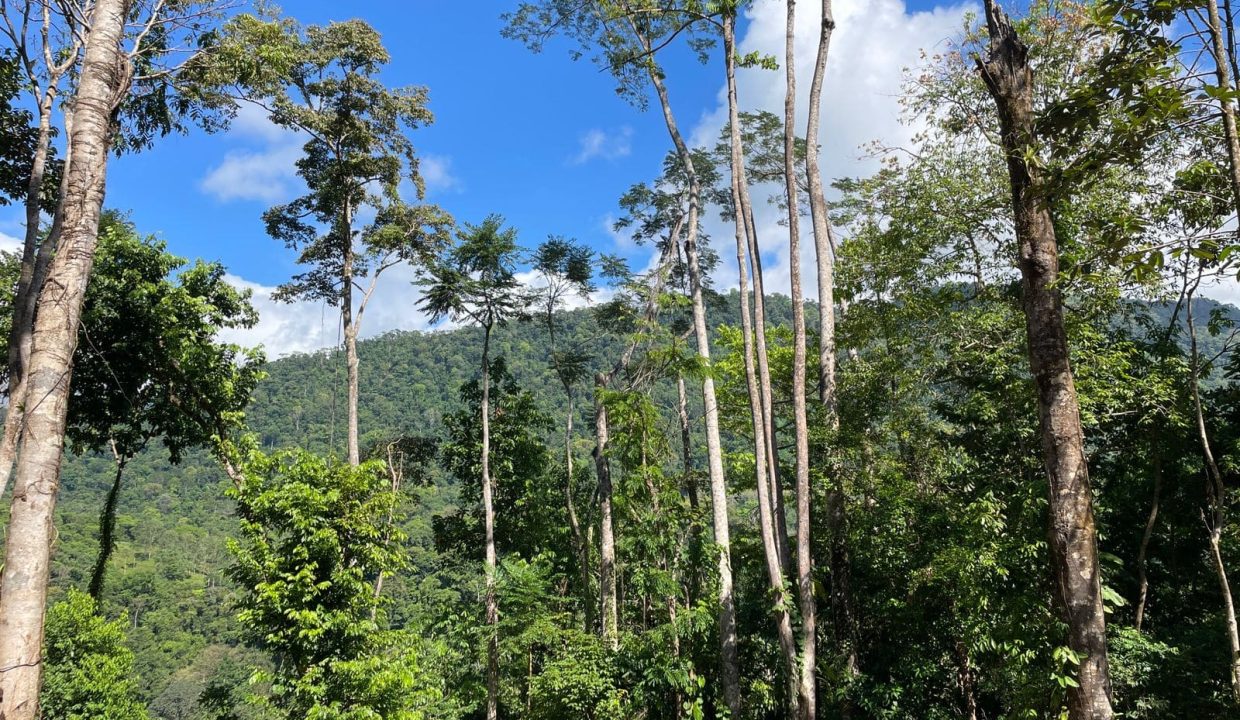 WhatsApp Image 2023-12-21 at 1.41.21 PM