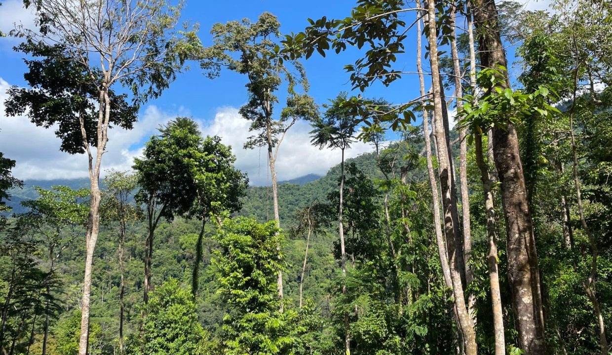 WhatsApp Image 2023-12-21 at 1.41.22 PM