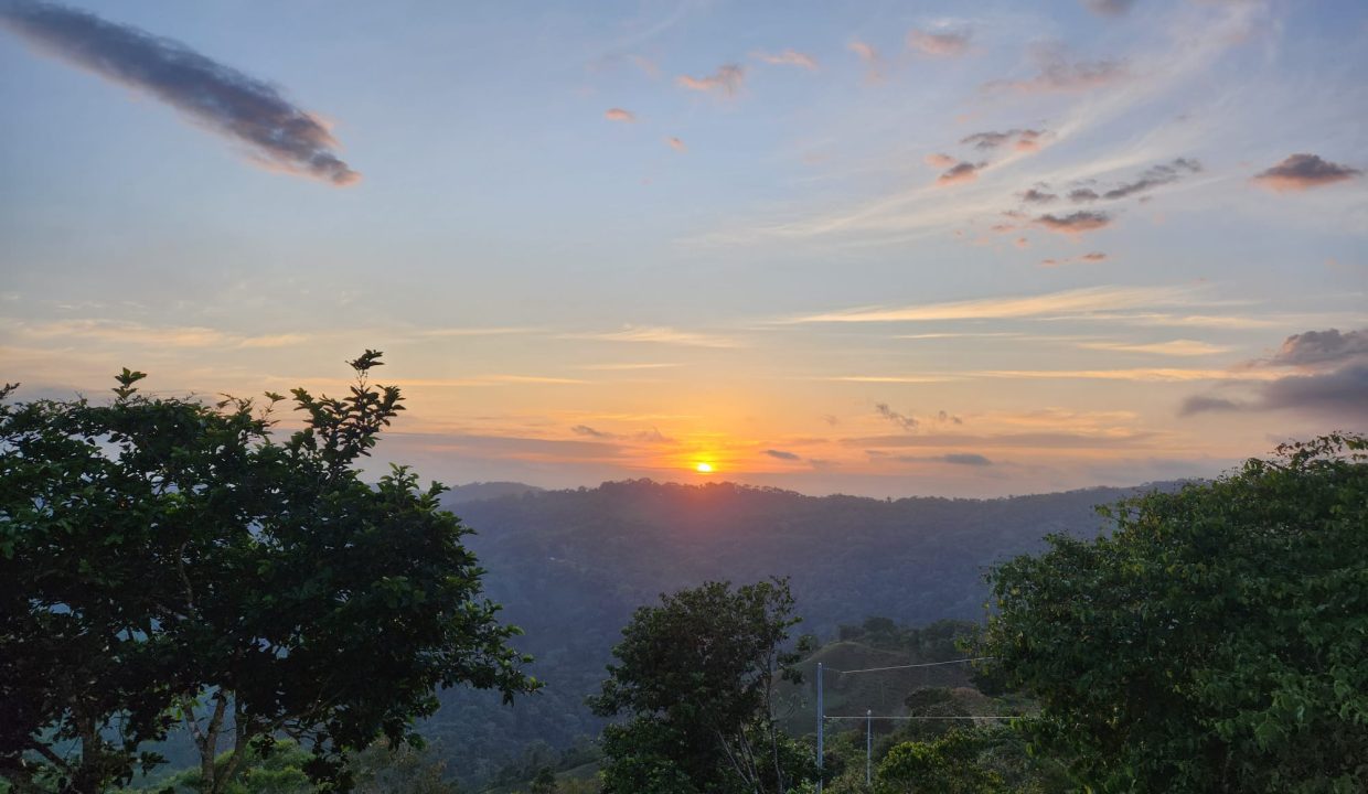 b0c294aa-bad7-47f6-afe1-199bd5eba218