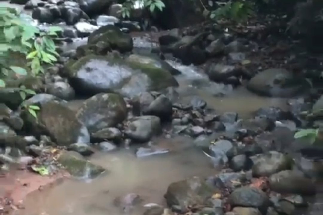 Screenshot_20240306_113327_WhatsApp