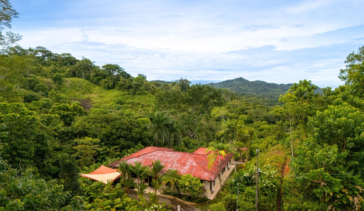 DJI_20240820084230_0115_D