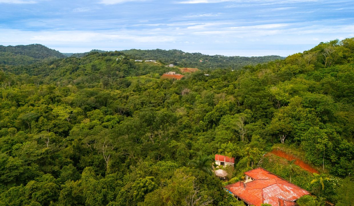 DJI_20240820084407_0116_D