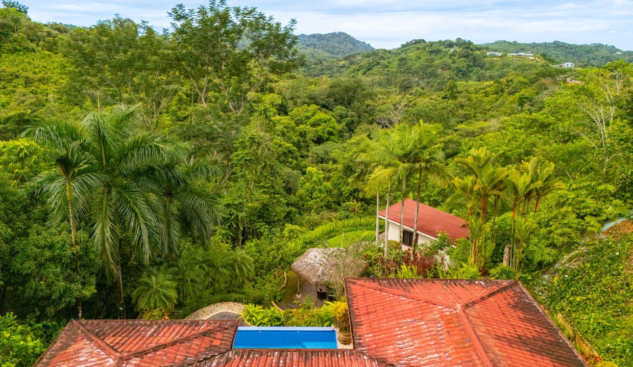 DJI_20240820084458_0117_D