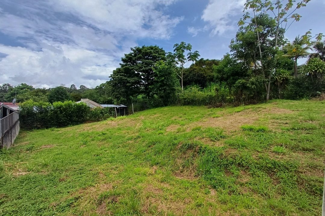 Screenshot_20240808_132842_Photos