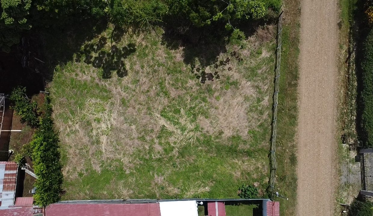 dji_fly_20240808_125809_0_1723143489803_photo_low_quality