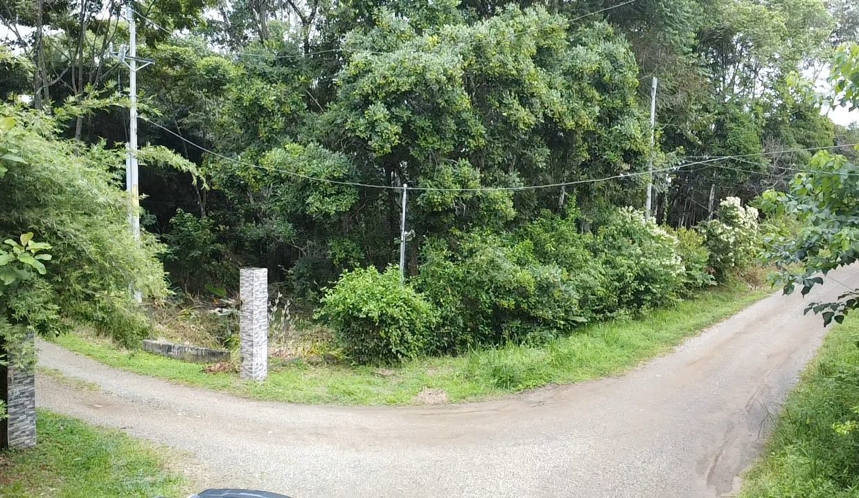 dji_fly_20240817_104547_0_1723913147714_photo_low_quality