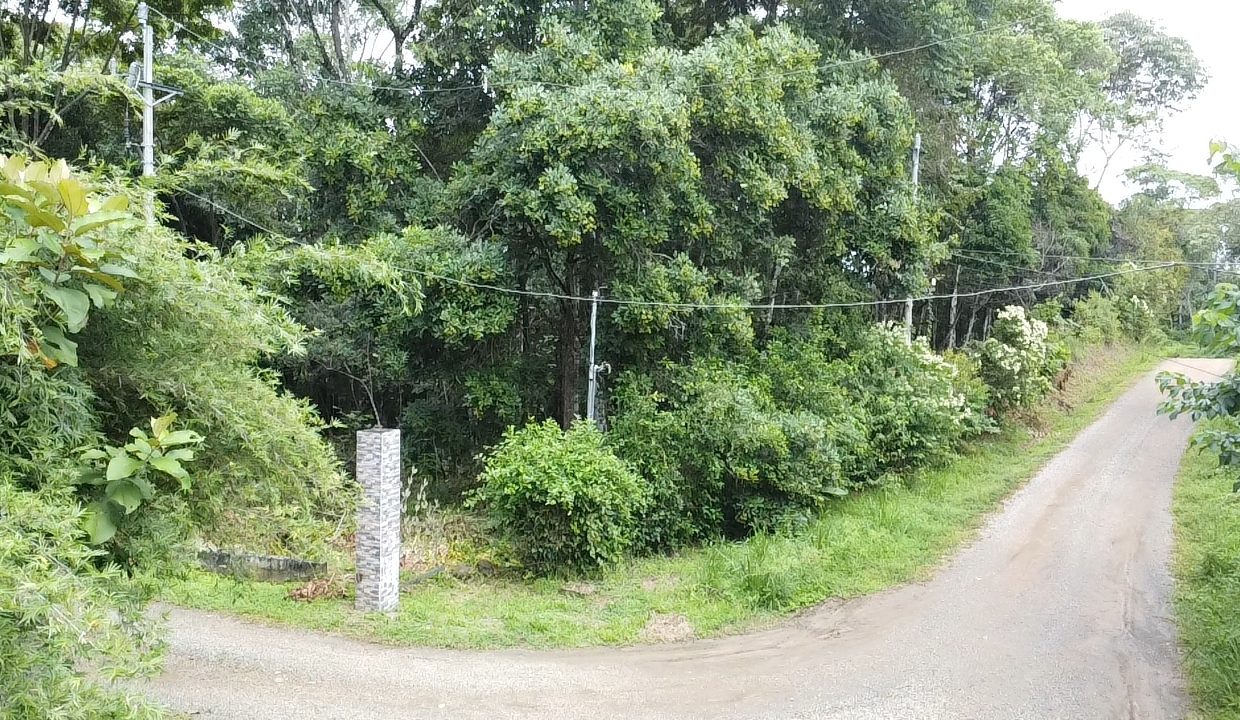 dji_fly_20240817_104605_0_1723913165195_photo_low_quality