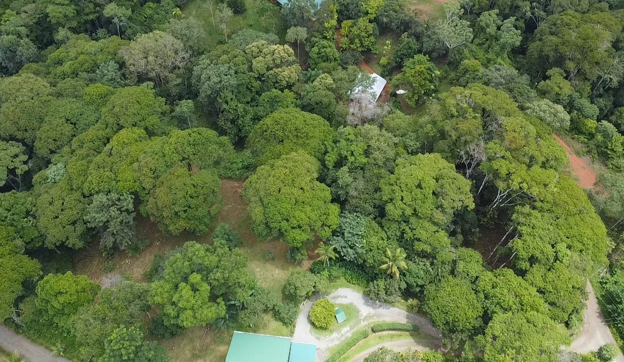 dji_fly_20240817_104658_0_1723913218869_photo_low_quality