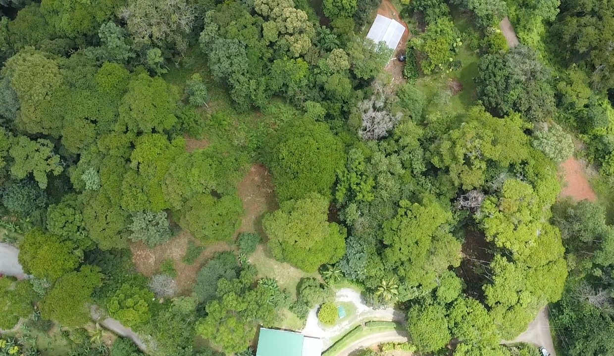 dji_fly_20240817_104728_0_1723913248193_photo_low_quality