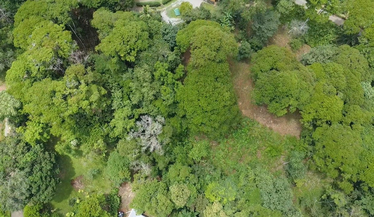 dji_fly_20240817_104753_0_1723913273292_photo_low_quality