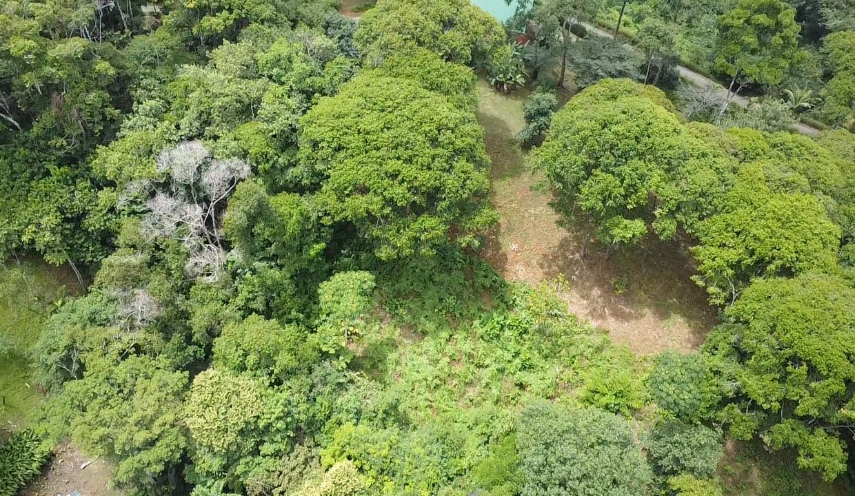 dji_fly_20240817_104821_0_1723913301130_photo_low_quality