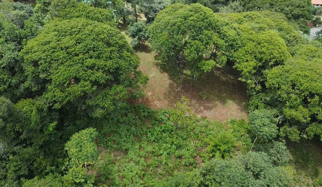 dji_fly_20240817_104847_0_1723913327613_photo_low_quality