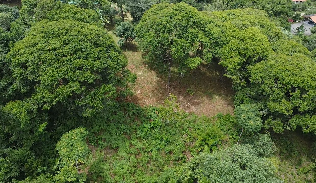 dji_fly_20240817_104851_0_1723913331665_photo_low_quality