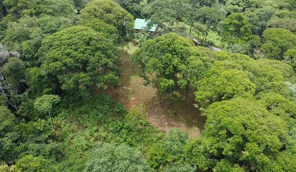 dji_fly_20240817_104908_0_1723913348626_photo_low_quality