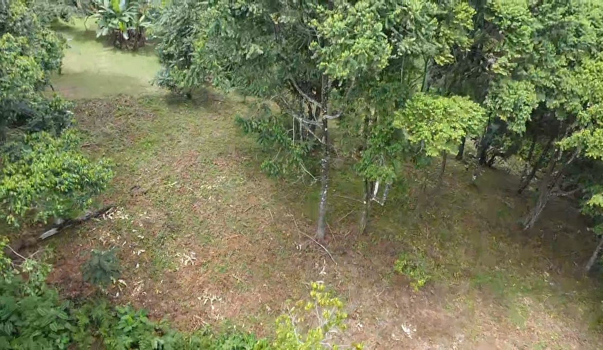 dji_fly_20240817_104929_0_1723913369207_photo_low_quality