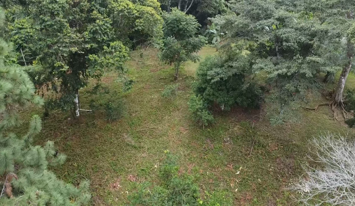 dji_fly_20240817_105020_0_1723913420214_photo_low_quality