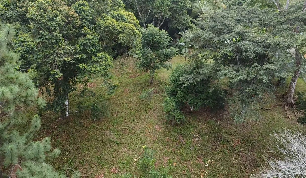 dji_fly_20240817_105029_0_1723913429858_photo_low_quality