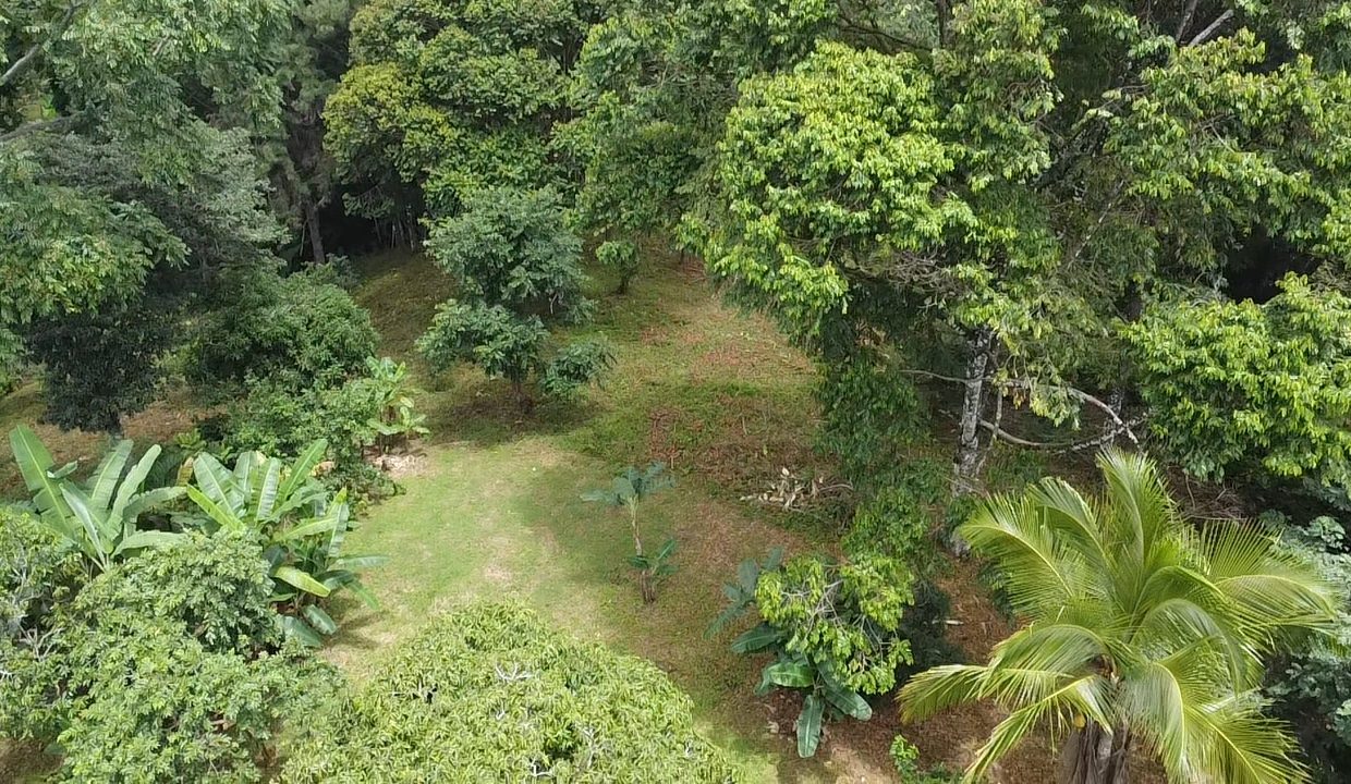 dji_fly_20240817_105055_0_1723913455872_photo_low_quality