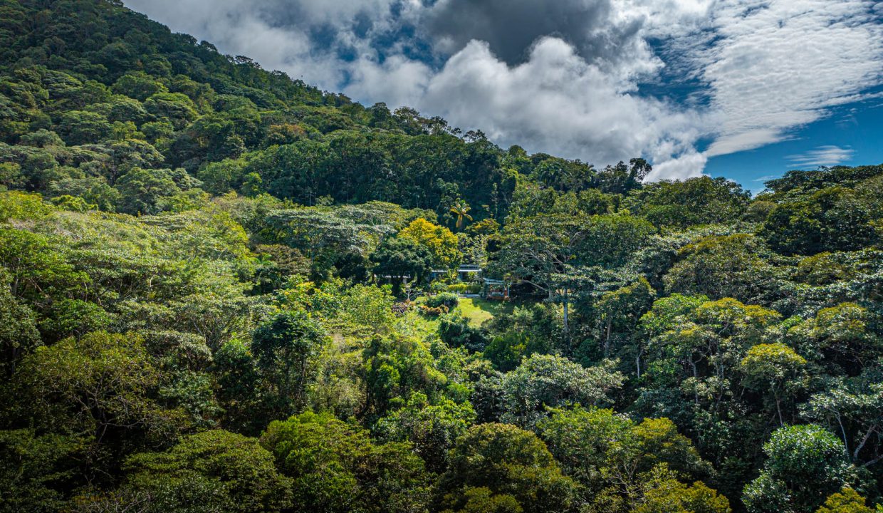 DJI_0107