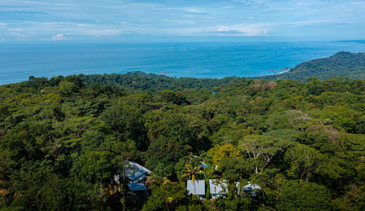 DJI_0135
