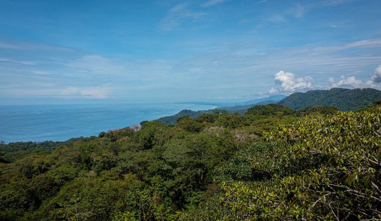 DJI_0145