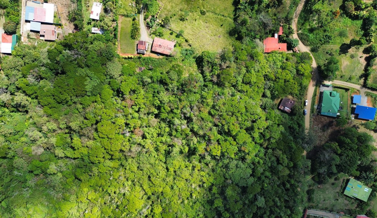 dji_fly_20250222_095610_82_1740239862537_photo_optimized-min