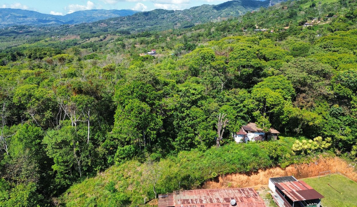 dji_fly_20250222_095830_84_1740239934463_photo_optimized-min