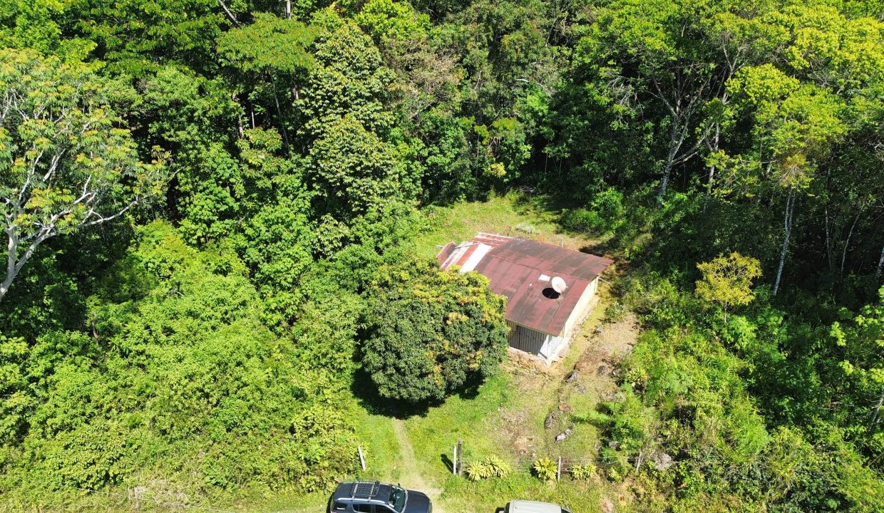 dji_fly_20250222_095904_85_1740239956372_photo_optimized-min