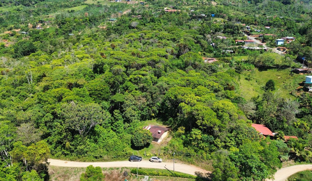 dji_fly_20250222_095926_86_1740239979179_photo_optimized-min